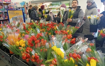 В Оренбурге к 8 Марта больше всего раскупают тюльпаны
