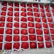 В Оренбургскую область пытались ввезти заражённые томаты из Узбекистана