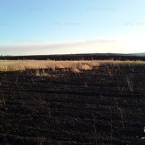 В Оренбуржье у механизатора, спалившего поле, отобрали трактор