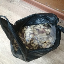 В Оренбурге 