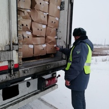 В Оренбургской области снова развернули фуру с тоннами замороженных куриных лапок