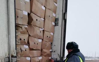 В Оренбургской области снова развернули фуру с тоннами замороженных куриных лапок