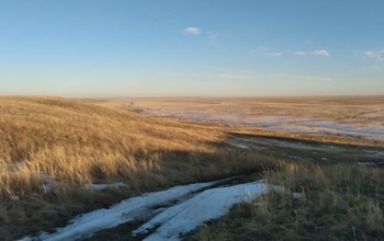 В оренбургские степи с южных краев вернулись перелетные птицы