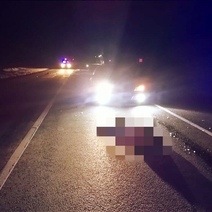 Оренбуржец погиб после наезда сразу пяти автомобилей (18+)