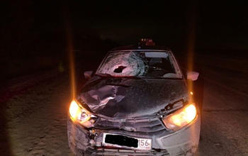 Шла ночью по трассе: в Бузулукском районе LADA GRANTA насмерть сбила пешехода (18+)