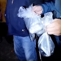 Закладчица наркотиков из Уфы успела сбыть в Оренбуржье четыре оптовые партии