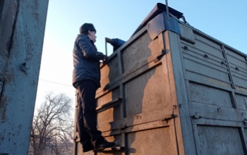 В Оренбургской области к вывозу не допустили восемь партий зерна