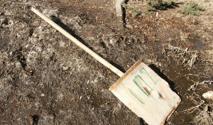 Картельный сговор строителей Оренбуржья превращается в осенний лист