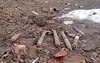 В Сорочинске мужчина обнаружил в овраге артиллерийские снаряды