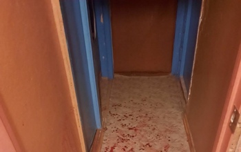 В Ясном женщина забыла, из-за чего исполосовала ножом знакомую (18+)