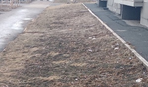 Любящие горожане густо насыпали Оренбургу «подарков»