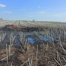 В Бузулукском районе произошел порыв нефтепровода