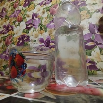 В Оренбуржье началась пора сбора берёзового сока