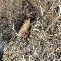 В Новоорском районе в поле обнаружен минометный боеприпас