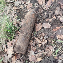 Житель Бузулукского района обнаружил в своем огороде противотанковую мину