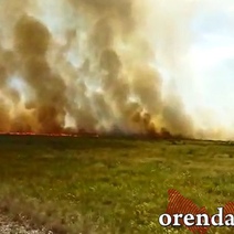 В Оренбуржье больше 20 лесничеств могли оказаться не готовы к пожароопасному сезону