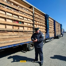 В Оренбуржье развернули фуру с 4 000 пчелопакетов