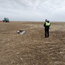 Под Оренбургом тракторист задавил механизатора, не заметив его при развороте (18+)