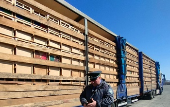 В Оренбуржье развернули фуру с 4 000 пчелопакетов