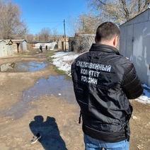 Глава СК РФ Бастрыкин взял на контроль смерть ребенка, растерзанного собаками (18+)