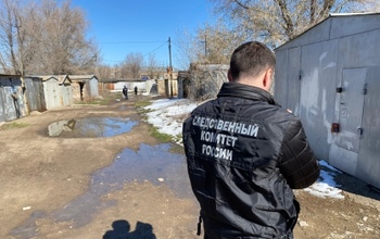 Глава СК РФ Бастрыкин взял на контроль смерть ребенка, растерзанного собаками (18+)