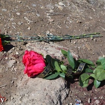 Растерзанный собаками в Оренбурге мальчик три года назад потерял маму