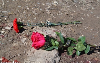 Растерзанный собаками в Оренбурге мальчик три года назад потерял маму