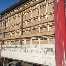 В Оренбургскую область снова запретили ввоз тысяч пчелопакетов