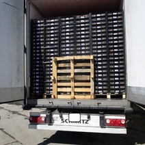 В Оренбургской области обнаружили 18 тонн заражённых томатов