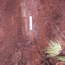 В Оренбургском районе в поле обнаружили осколочную фугасную авиационную бомбу