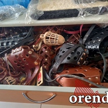 В Оренбурге владельцам чихуахуа и мопсов пора покупать для них намордники