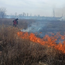 В Оренбурге в районе улицы Геннадия Донковцева горит сухая трава