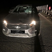 В Оренбурге на ночной трассе водитель «Лады Весты» сбил пешехода