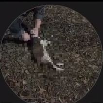 В Оренбуржье школьницу, отчленившую голову коту, проверяют на вменяемость (18+)