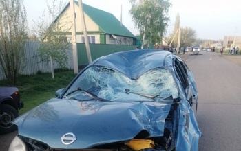 Под Оренбургом подростка на лошади насмерть сбила машина (18+)