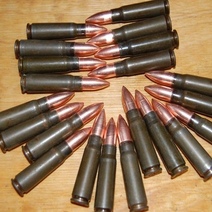 Жительница Сорочинска нашла патроны в бутылке, вспахивая огород