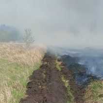 В Абдулино горят свалка и лес: с огнем борются уже 74 человека