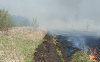 В Абдулино горят свалка и лес: с огнем борются уже 74 человека