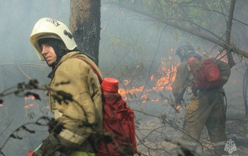 В Оренбургской области вторые сутки тушат лесной пожар