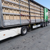 К ввозу в Оренбургскую область не допустили почти 12 тысяч пчелопакетов