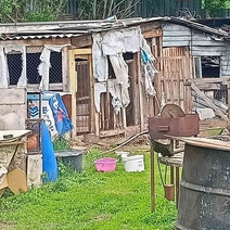 Жители Оренбурга заперли в сарае свору бродячих собак, загрызших внутри хряка (18+)