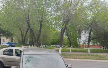 В Оренбурге на ул. Волгоградской под колёса «Тойоты» попала 17-летняя девушка