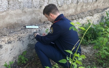 В Октябрьском районе женщина жестоко расправилась с родственником (18+)