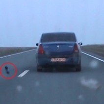 В Орске полицейские в погоне за авто открыли стрельбу, а нарушитель отбивался бутылками