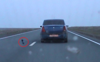 В Орске полицейские в погоне за авто открыли стрельбу, а нарушитель отбивался бутылками