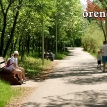 В Оренбурге собака вновь покусала ребенка