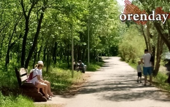 В Оренбурге собака вновь покусала ребенка