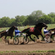Когда на оренбургском ипподроме можно будет посмотреть скачки