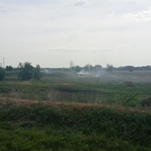 Под Оренбургом дымит мусор у детского лагеря 