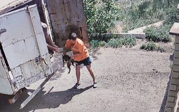 Неизвестные подбросили бездомных собак к приюту, сославшись на приказ мэрии